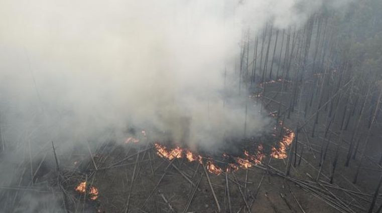 Масштабні пожежі у Чорнобильській зоні: куди йде забруднена хмара