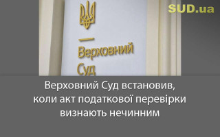 Верховний Суд встановив, коли акт податкової перевірки визнають нечинним
