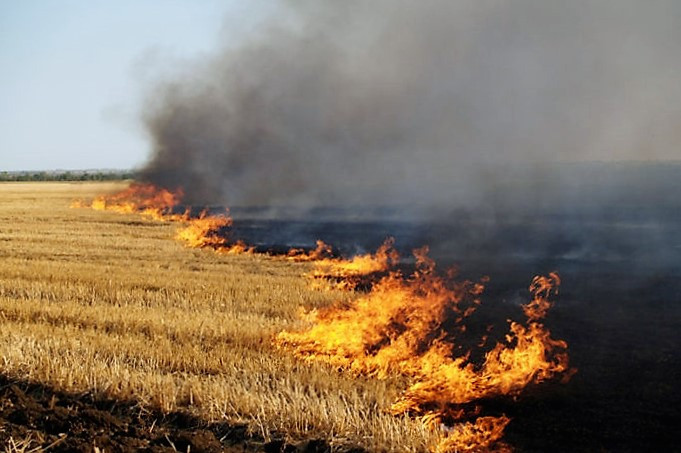 Штрафи за випалювання сухої трави підвищаться у кілька разів: законопроект Мін’юсту