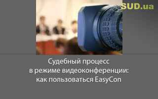 Судебный процесс в режиме видеоконференции: как  пользоваться EasyCon