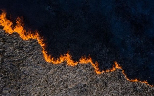 Чому палає Чорнобиль: стало відомо, хто спричинив підпал