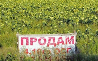 Відкриття ринку землі: Рада розблокувала підписання закону
