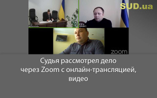 Судья рассмотрел дело через Zoom с онлайн-трансляцией, видео