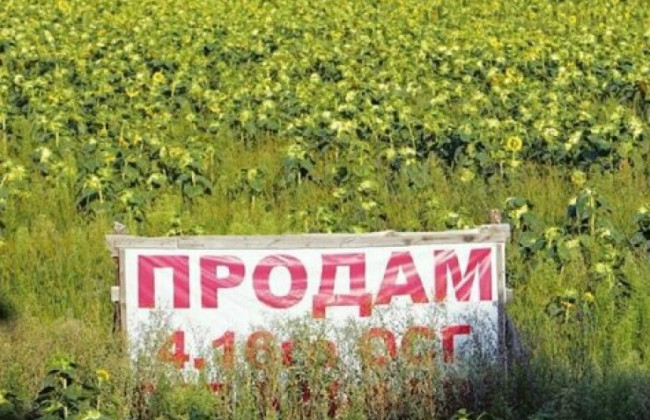 Відкриття ринку землі: Рада розблокувала підписання закону