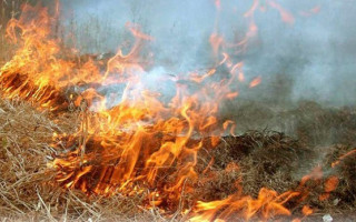 Верховна Рада посилила відповідальність за випалювання сухої трави: прийнято закон