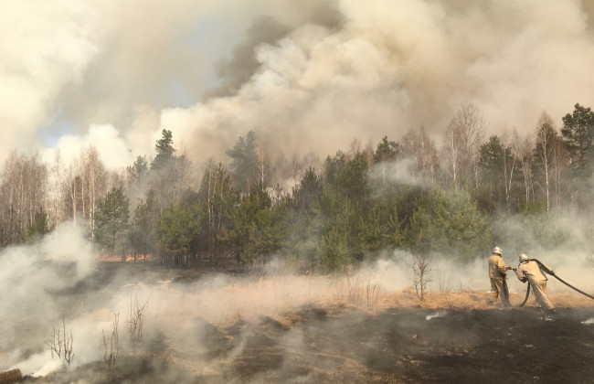 Уряд виділив додаткові 100 млн на боротьбу із лісовими пожежами