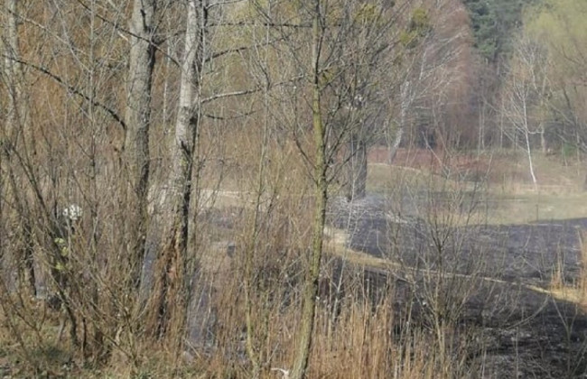 На столичном Виноградаре подростки подожгли сухую траву