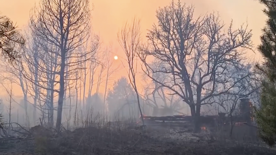 Радиоактивный дым от пожаров в Чернобыле может дойти до Киева: ситуация критическая