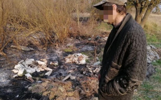 Опасный пожар в зоне ЧАЭС: задержан один из поджигателей, видео