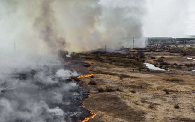 Масштабный пожар в Чернобыльской зоне: Зеленский заслушает отчет от председателя ГСЧС