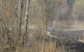На столичном Виноградаре подростки подожгли сухую траву