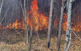 Через пожежу в Чорнобильській зоні МОЗ рекомендує не виходити з дому