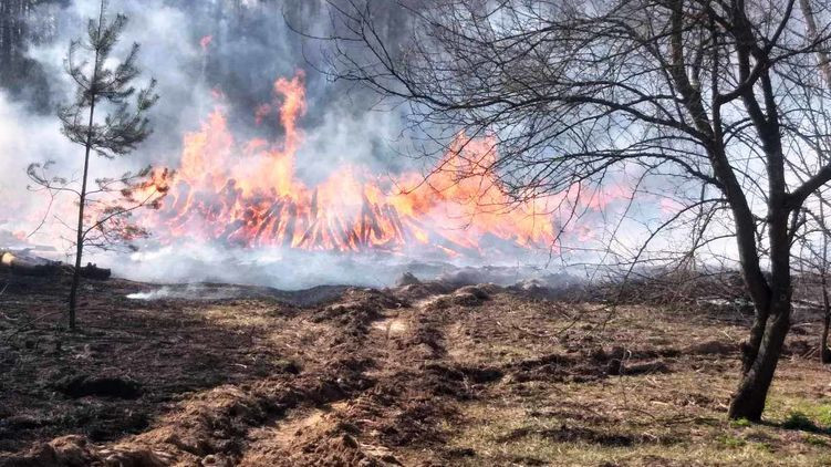 Пожар в Чернобыльской зоне: под подозрением несколько человек