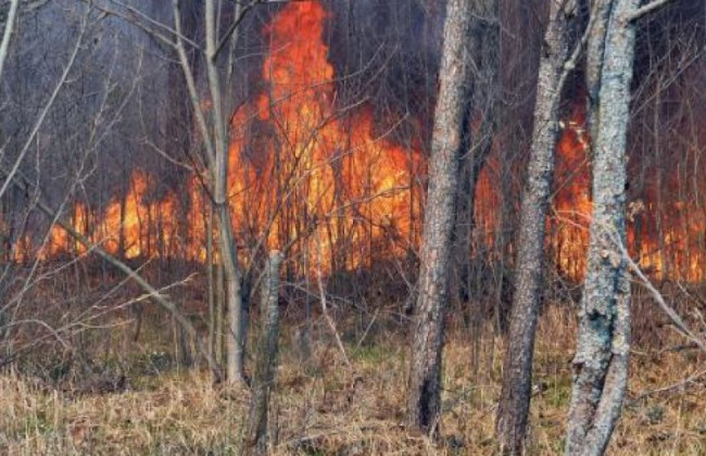 Через пожежу в Чорнобильській зоні МОЗ рекомендує не виходити з дому