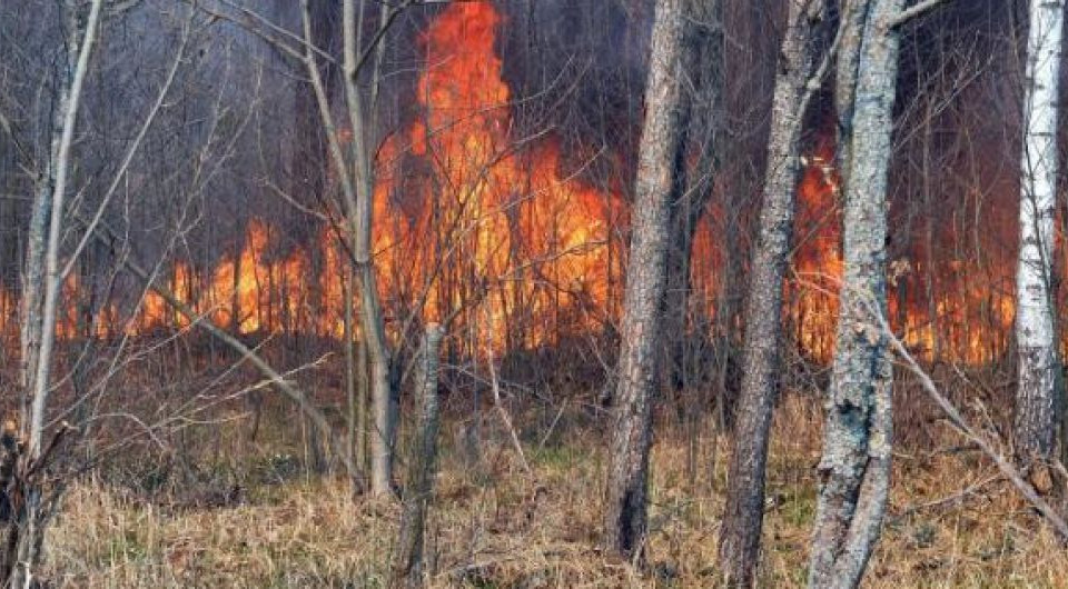 Через пожежу в Чорнобильській зоні МОЗ рекомендує не виходити з дому