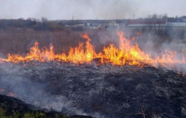 В Україні опублікували закон про збільшені штрафи для паліїв трави