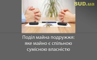 Поділ майна подружжя: яке майно є спільною сумісною власністю