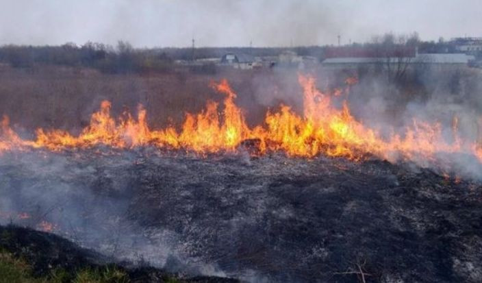 В Україні опублікували закон про збільшені штрафи для паліїв трави