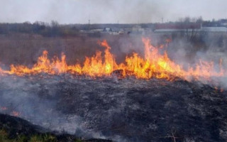 В Україні опублікували закон про збільшені штрафи для паліїв трави