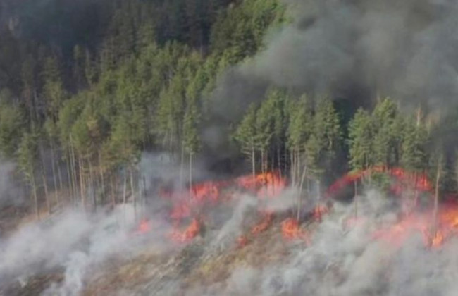 «Здавалося, ніби знову вибухнула станція»: сталкер розповів про пожежу в Чорнобильській зоні