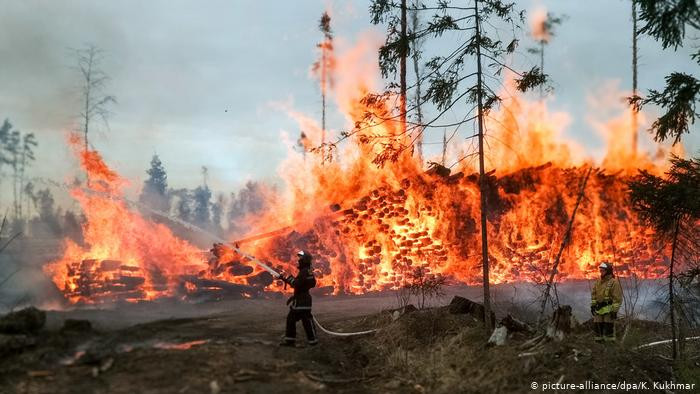 Пожежі в екосистемах продовжуються: ДСНС надала оперативну інформацію