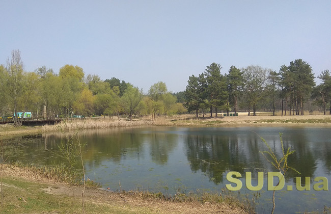 В каких районах Киева задымленность к полудню почти рассеялась, фото