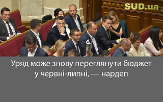 Уряд може знову переглянути бюджет у червні-липні, — нардеп
