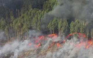 «Здавалося, ніби знову вибухнула станція»: сталкер розповів про пожежу в Чорнобильській зоні