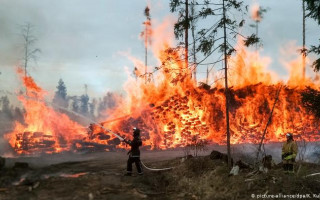 Пожежі в екосистемах продовжуються: ДСНС надала оперативну інформацію