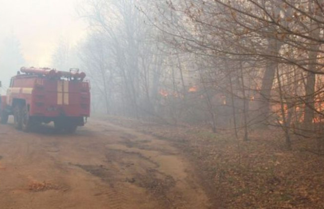 В Чернобыльской зоне возобновился пожар: первые подробности