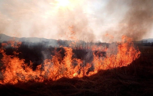 Масштабные пожары на Киевщине и Житомирщине могут быть результатом массовых поджогов: видео