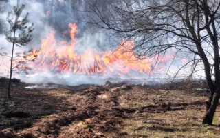 Обнародовано видео серьезных последствий пожаров в Украине