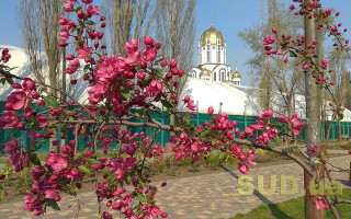 Карантин в Киеве 19 апреля: Пасха на самоизоляции