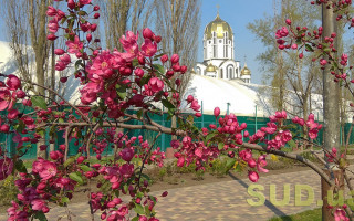 Заморозки и дождь: киевлян предупредили о резком похолодании