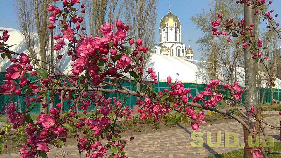 Заморозки и дождь: киевлян предупредили о резком похолодании