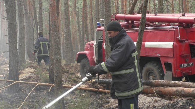 Пожары в Житомирской области уничтожили десятки домов и тысячи гектаров леса: фото
