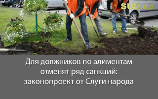 Для должников по алиментам отменят ряд санкций: законопроект от Слуги народа
