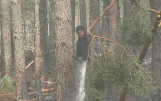 Залучено сотні одиниць техніки: Шмигаль повідомив деталі щодо лісових пожеж