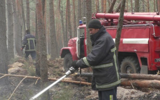 Пожары в Житомирской области уничтожили десятки домов и тысячи гектаров леса: фото