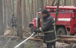 Важка техніка та авіація ДСНС: у Чорнобилі та на Житомирщині триває боротьба з пожежами, фото, відео