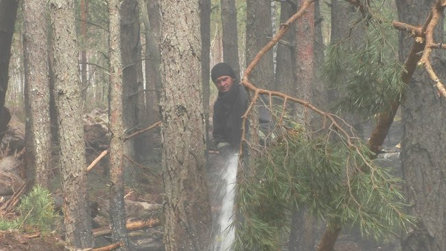 Залучено сотні одиниць техніки: Шмигаль повідомив деталі щодо лісових пожеж