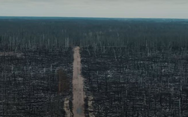 «Ощущение абсолютного апокалипсиса»: выгоревшую Чернобыльскую зону показали на видео