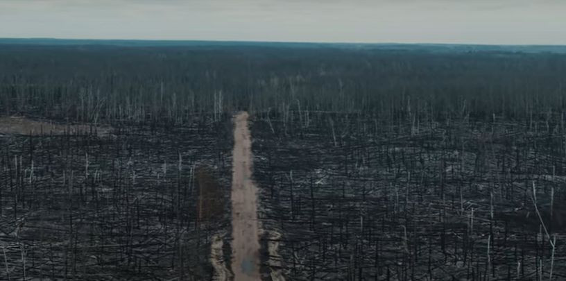 «Ощущение абсолютного апокалипсиса»: выгоревшую Чернобыльскую зону показали на видео