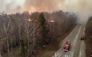 Внаслідок пожеж на Житомирщині постраждали понад 70 будинків: Шмигаль доручив виділити кошти