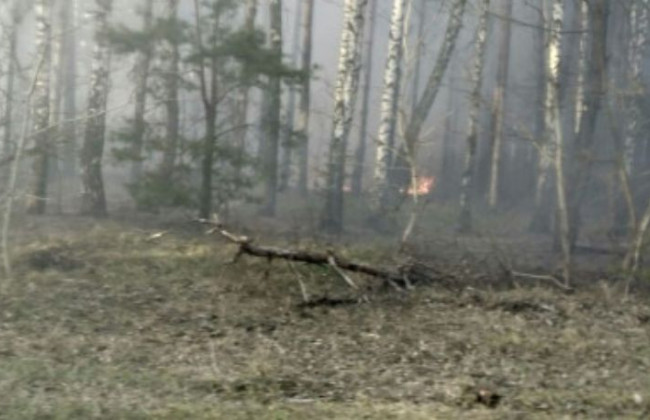 «Дым перекрывает солнце»: появилось видео масштабного пожара под Киевом