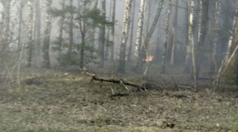 «Дым перекрывает солнце»: появилось видео масштабного пожара под Киевом