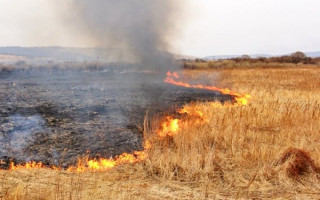 Под Киевом в пожаре сгорели 5 строений: что известно