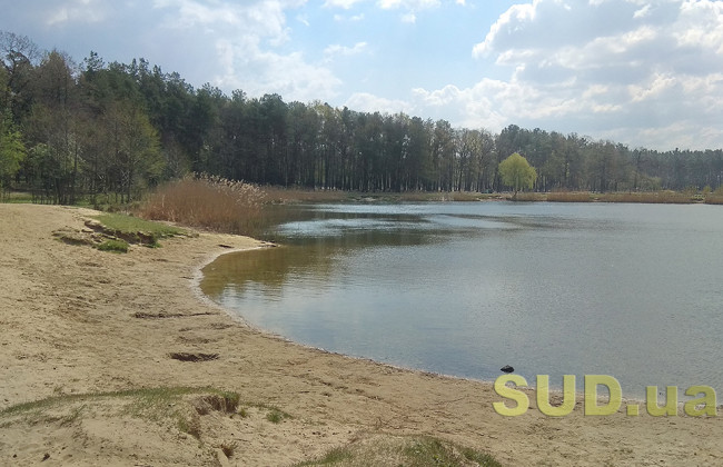 Через аномальну зиму в українських річках катастрофічно мало води: чим це загрожує для населення