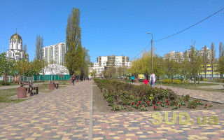 Жовтий рівень небезпеки: киян попередили про сильний вітер