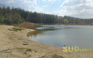 Через аномальну зиму в українських річках катастрофічно мало води: чим це загрожує для населення